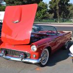 DSC_0113_01 (October 03, 2020)